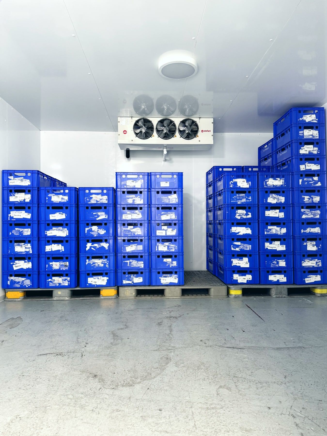 Des piles de caisses bleues sur palettes dans la chambre froide, sous l'évaporateur à trois ventilateurs